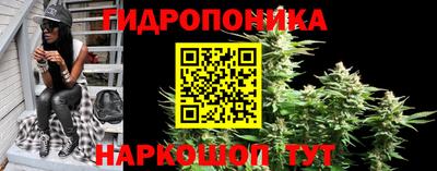 дурь Славгород