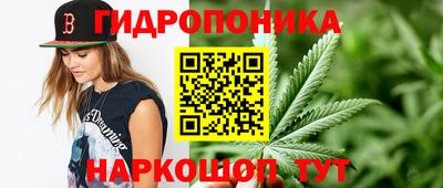 PSILOCYBIN Славянск-на-Кубани
