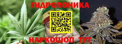 дурь Славгород