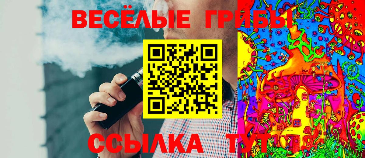 Новодвинск  Псилоцибиновые грибы ЛСД  Галлюциногенные грибы ЛСД  Вход с VPN 