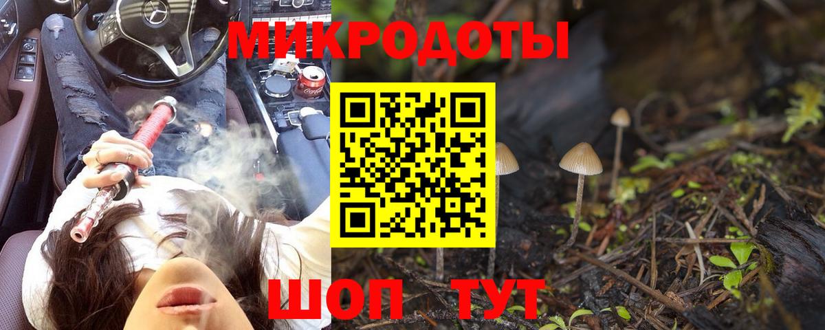 Псилоцибиновые грибы ЛСД Новодвинск